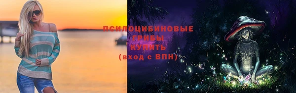 гашик Беломорск