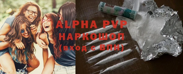 гашик Беломорск