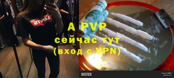 СК Семилуки